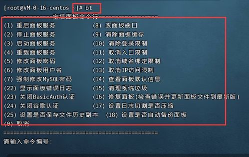 一鍵搭建，即刻啟航 亞馬遜云科技EC2云服務器部署WordPress與粒子云文章系統深度測評